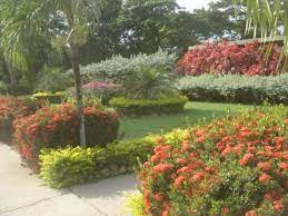 Jardines de las Instalaciones del Comedor